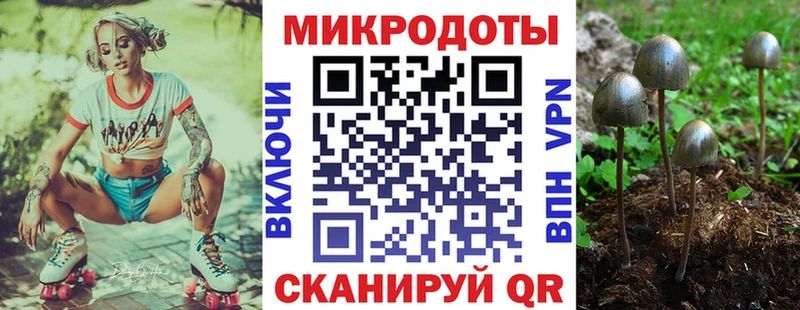 Псилоцибиновые грибы мухоморы  Алзамай 